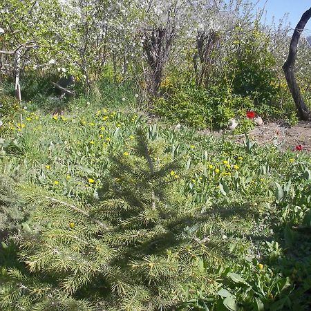 Issyk-Kul - Camping Grigoryevka 호텔 Grigor'yevka 외부 사진