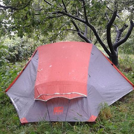 Issyk-Kul - Camping Grigoryevka 호텔 Grigor'yevka 외부 사진