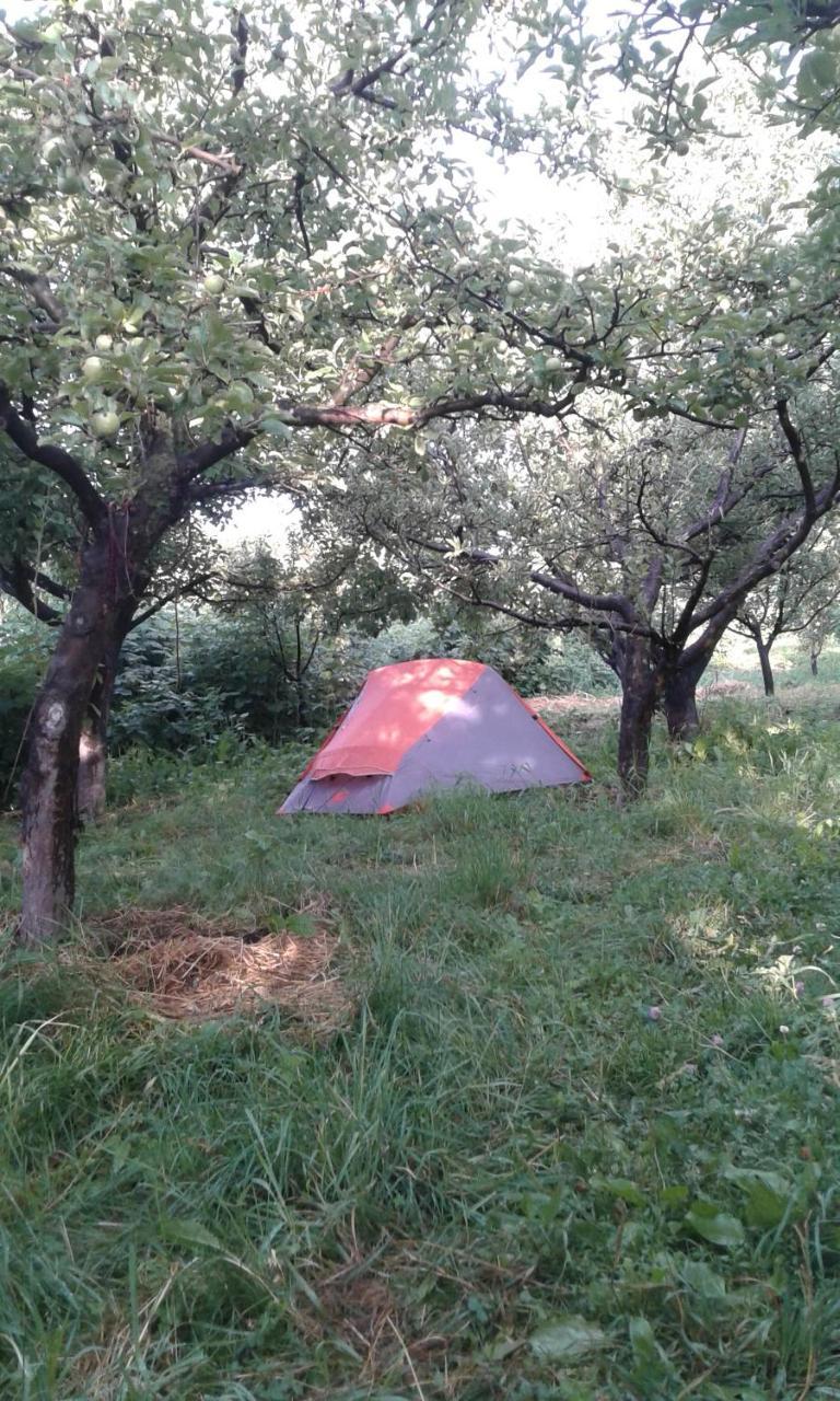 Issyk-Kul - Camping Grigoryevka 호텔 Grigor'yevka 외부 사진