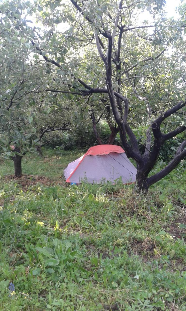 Issyk-Kul - Camping Grigoryevka 호텔 Grigor'yevka 외부 사진