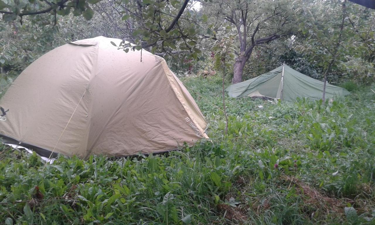 Issyk-Kul - Camping Grigoryevka 호텔 Grigor'yevka 외부 사진