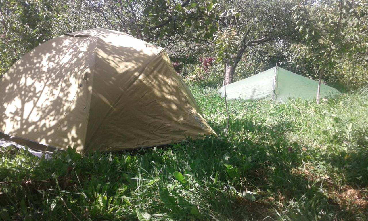 Issyk-Kul - Camping Grigoryevka 호텔 Grigor'yevka 외부 사진