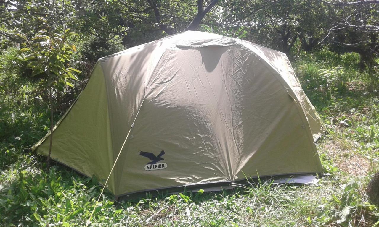 Issyk-Kul - Camping Grigoryevka 호텔 Grigor'yevka 외부 사진